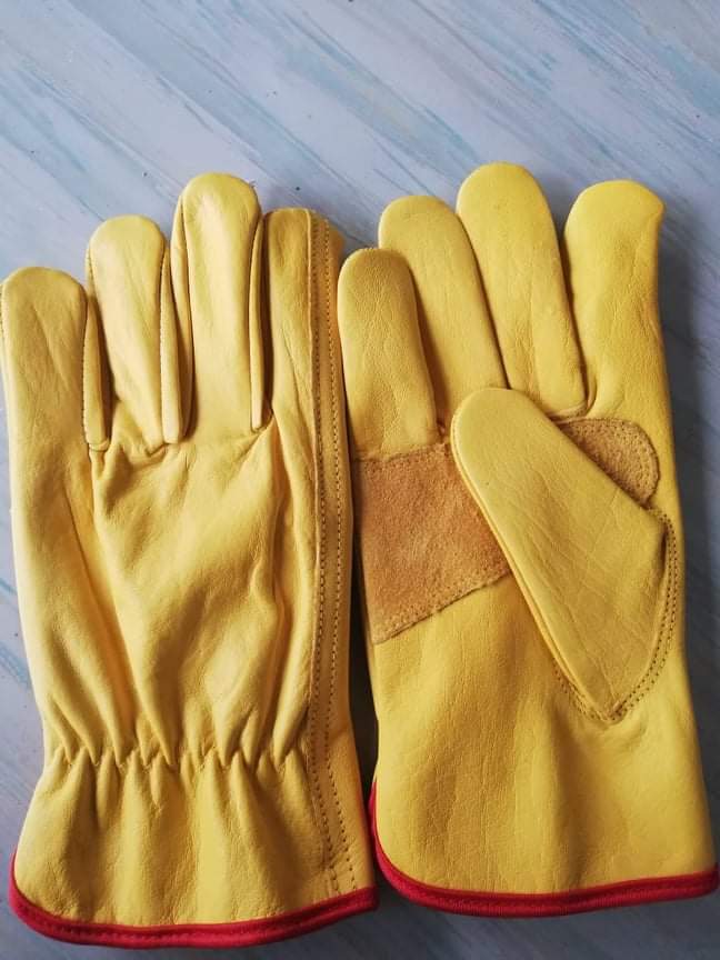 GLOVES 717